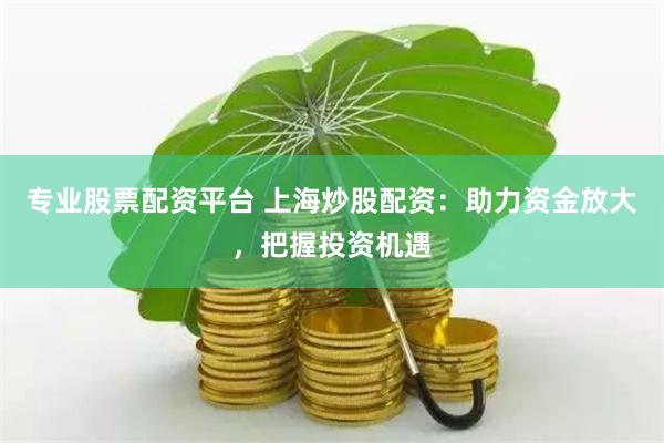 专业股票配资平台 上海炒股配资：助力资金放大，把握投资机遇